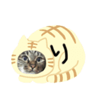 なかせみるちゃん（個別スタンプ：2）
