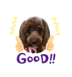 chichichi.224（個別スタンプ：4）