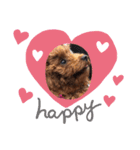 chichichi.224（個別スタンプ：8）