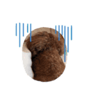 chichichi.224（個別スタンプ：12）