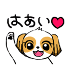 犬のロアちゃん（個別スタンプ：7）