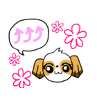 犬のロアちゃん（個別スタンプ：9）