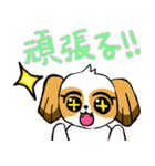 犬のロアちゃん（個別スタンプ：40）