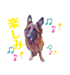 長毛シェパードのサリー（個別スタンプ：4）