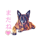 長毛シェパードのサリー（個別スタンプ：8）