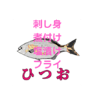 屋久島の懐かしい食べ物・魚編（個別スタンプ：13）