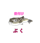 屋久島の懐かしい食べ物・魚編（個別スタンプ：18）