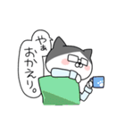 はちわれ猫 はっちゃん（個別スタンプ：19）