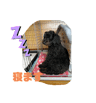 空でくう（個別スタンプ：6）