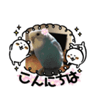 ♀こじろー5（個別スタンプ：2）