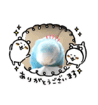 ♀こじろー5（個別スタンプ：8）