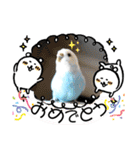 ♀こじろー5（個別スタンプ：10）