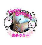♀こじろー5（個別スタンプ：11）
