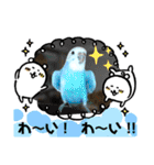 ♀こじろー5（個別スタンプ：33）