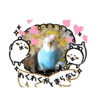 ♀こじろー5（個別スタンプ：34）