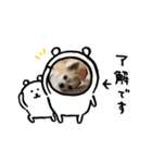 あんころの日常（個別スタンプ：4）