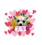 あんころの日常（個別スタンプ：8）