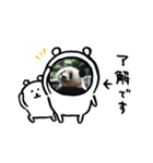 パンダでこんにちは2（個別スタンプ：6）