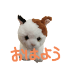 ふわふわにゃーちゃん（個別スタンプ：1）