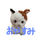 ふわふわにゃーちゃん（個別スタンプ：2）