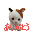ふわふわにゃーちゃん（個別スタンプ：3）