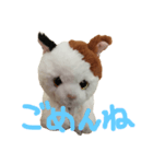 ふわふわにゃーちゃん（個別スタンプ：4）