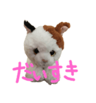 ふわふわにゃーちゃん（個別スタンプ：5）