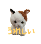 ふわふわにゃーちゃん（個別スタンプ：6）