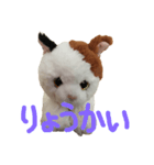 ふわふわにゃーちゃん（個別スタンプ：7）