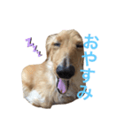 ちょこくんだよ！（個別スタンプ：6）