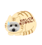 ビションフリーゼのイヴ！！（個別スタンプ：9）