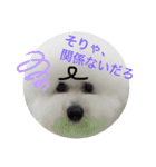 ビションフリーゼのイヴ！！（個別スタンプ：27）