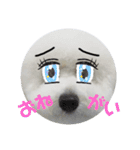 ビションフリーゼのイヴ！！（個別スタンプ：30）