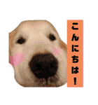 きゃっちゃんスタンプ（個別スタンプ：2）