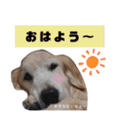 きゃっちゃんスタンプ（個別スタンプ：5）
