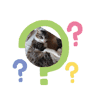 猫ズ わんこ スタンプ（個別スタンプ：9）