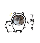 猫ズ わんこ スタンプ（個別スタンプ：14）