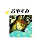 柴犬 太郎くん（個別スタンプ：6）