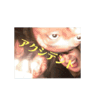 Okinawa Residents（個別スタンプ：38）