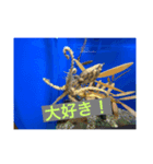 元気なお魚スタンプ（個別スタンプ：8）