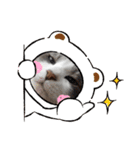 まろんスタンプ★☆（個別スタンプ：5）