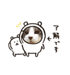 まろんスタンプ★☆（個別スタンプ：7）