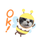 まろんスタンプ★☆（個別スタンプ：8）