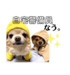 LufCobスタンプ（個別スタンプ：14）