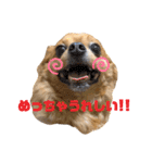 LufCobスタンプ（個別スタンプ：17）