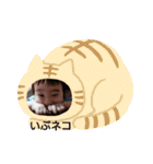 一颯2歳の誕生日記念♡（個別スタンプ：17）