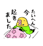 まんまるいんこちゃんのスタンプ（個別スタンプ：14）