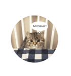 maru maru stamp（個別スタンプ：8）