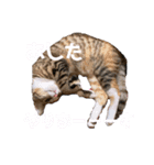 になはるちび 〜あした〜（個別スタンプ：5）