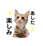になはるちび 〜あした〜（個別スタンプ：8）